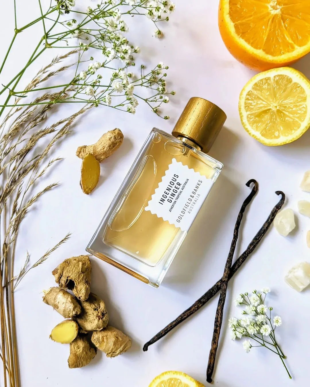 Goldfield & Banks Ingenious Ginger image 1